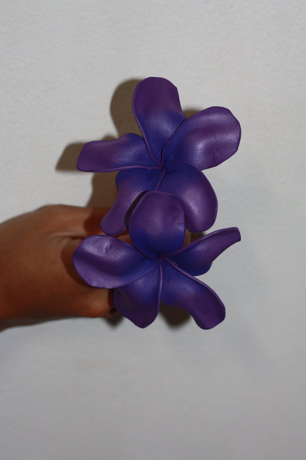 Sei - Marie's Tropical Medium Pua
