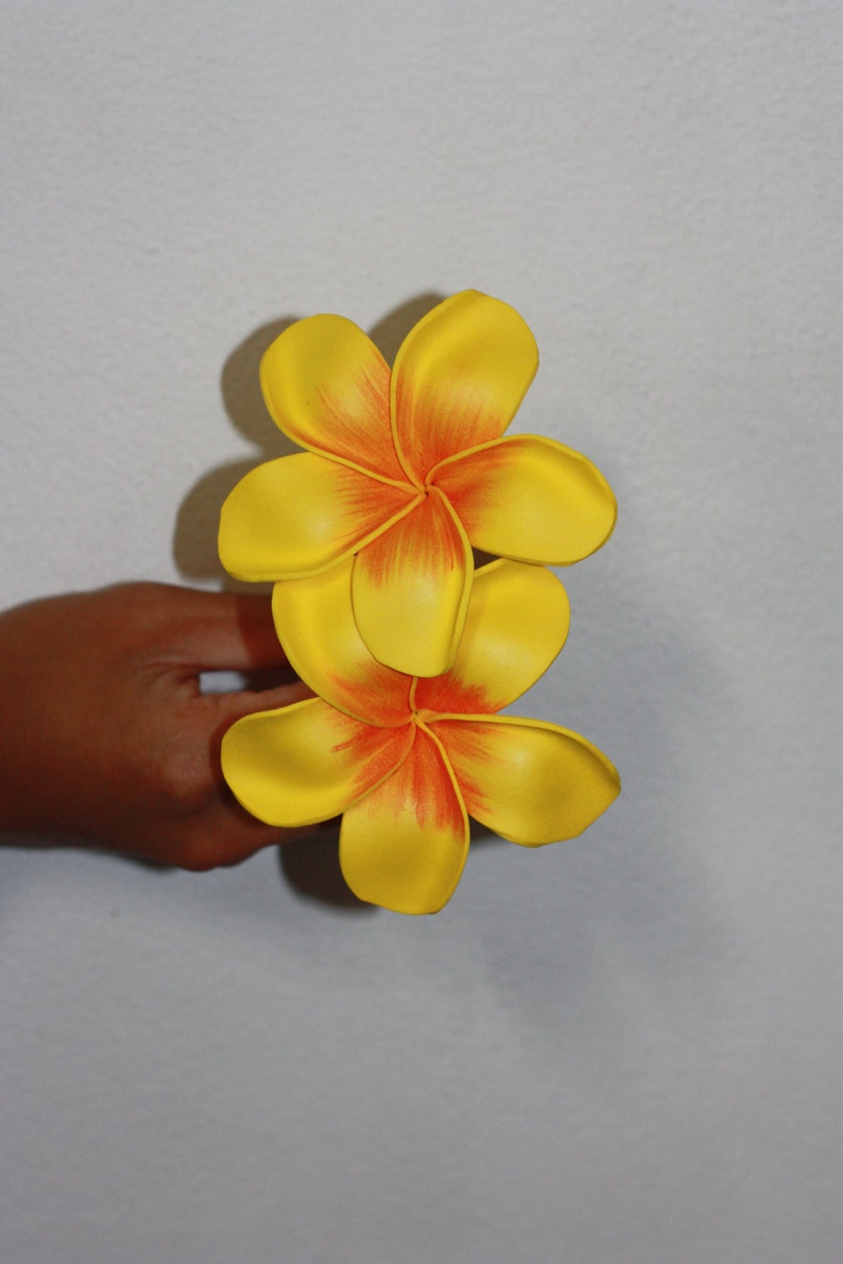 Sei - Marie's Tropical Medium Pua