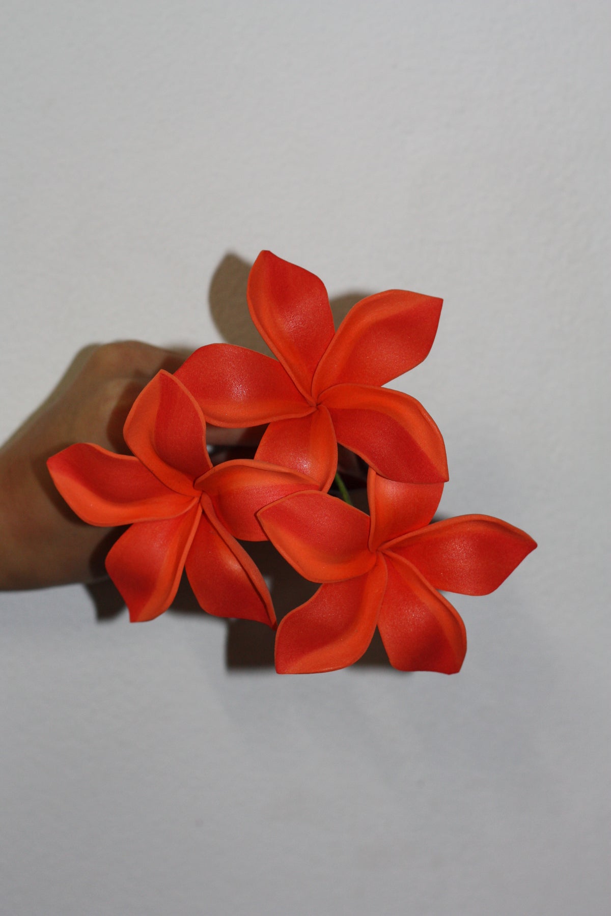 Sei - Marie's Tropical Medium Pua