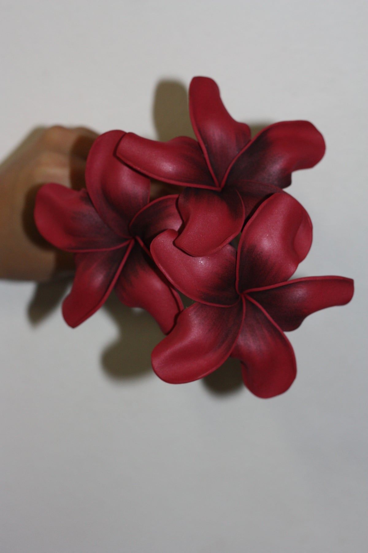 Sei - Marie's Tropical Medium Pua