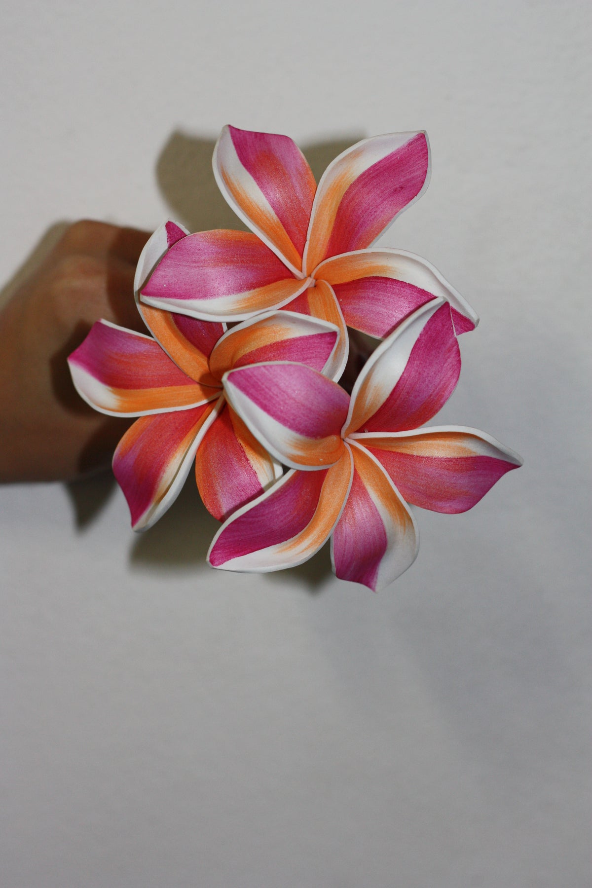 Sei - Marie's Tropical Medium Pua