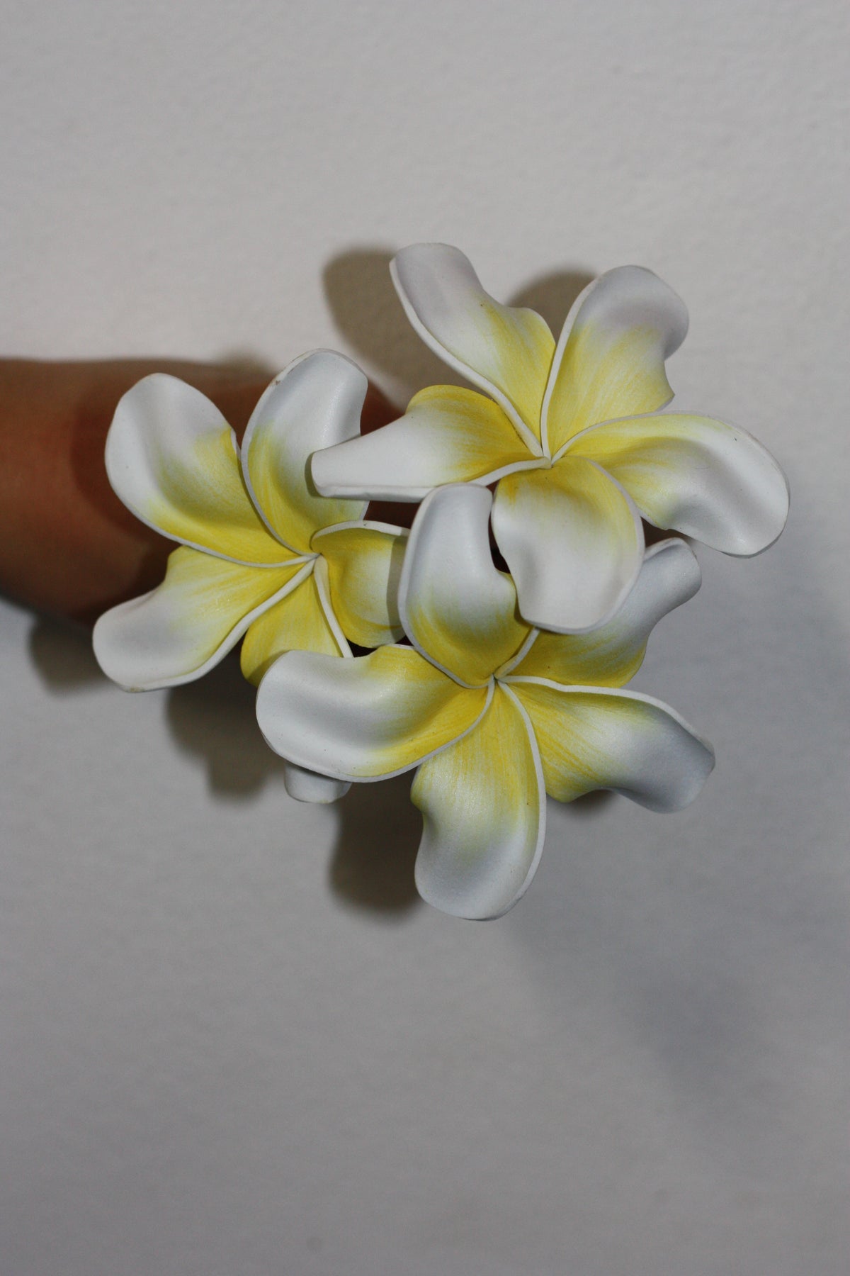 Sei - Marie's Tropical Medium Pua