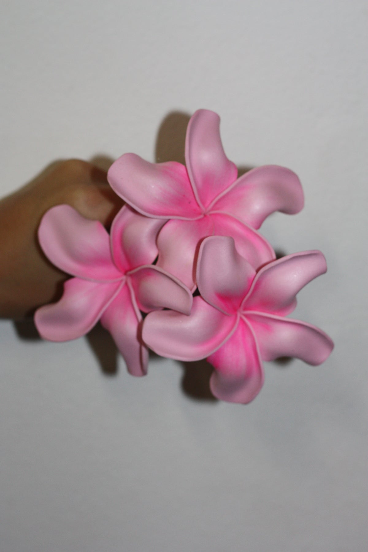 Sei - Marie's Tropical Medium Pua