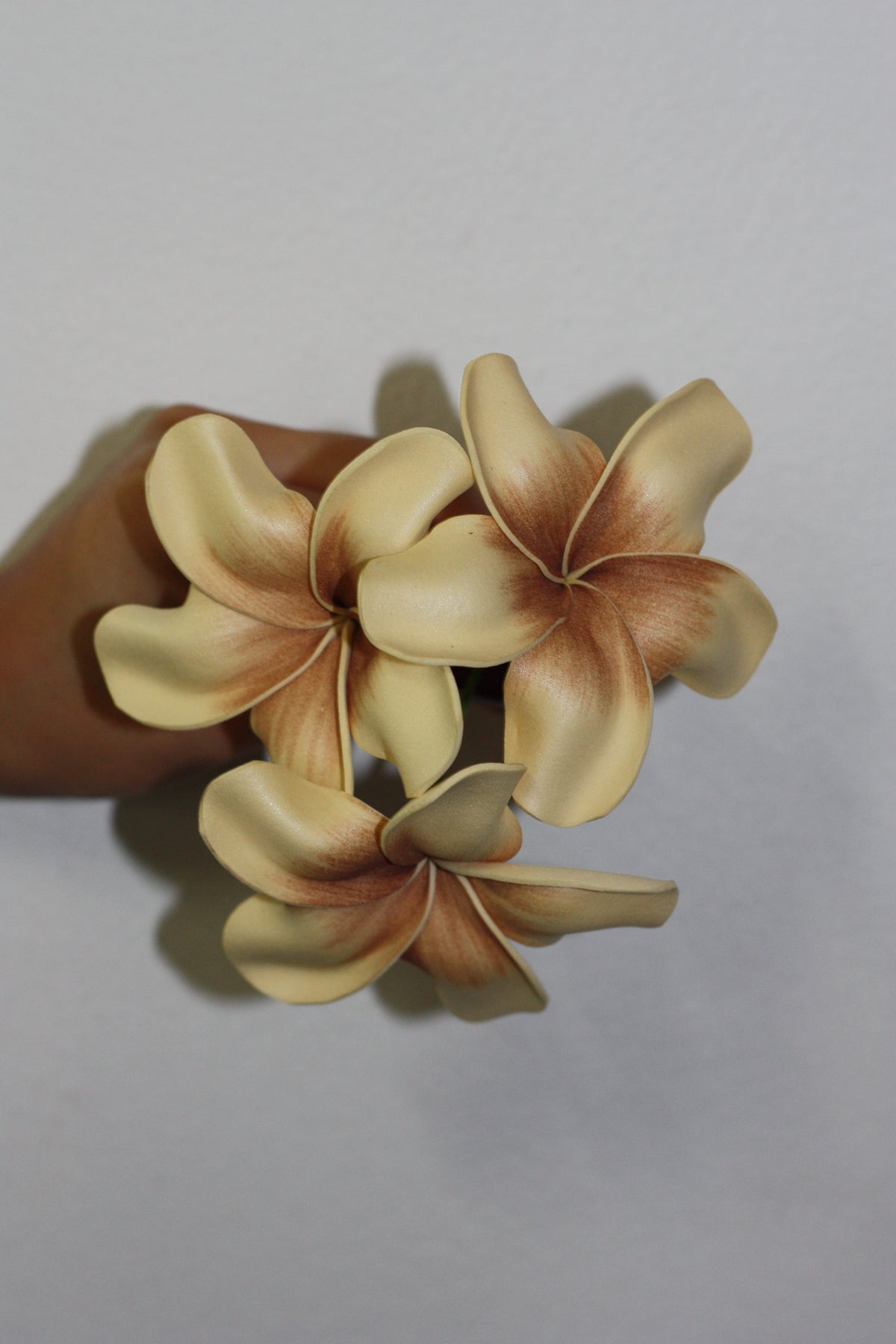 Sei - Marie's Tropical Medium Pua