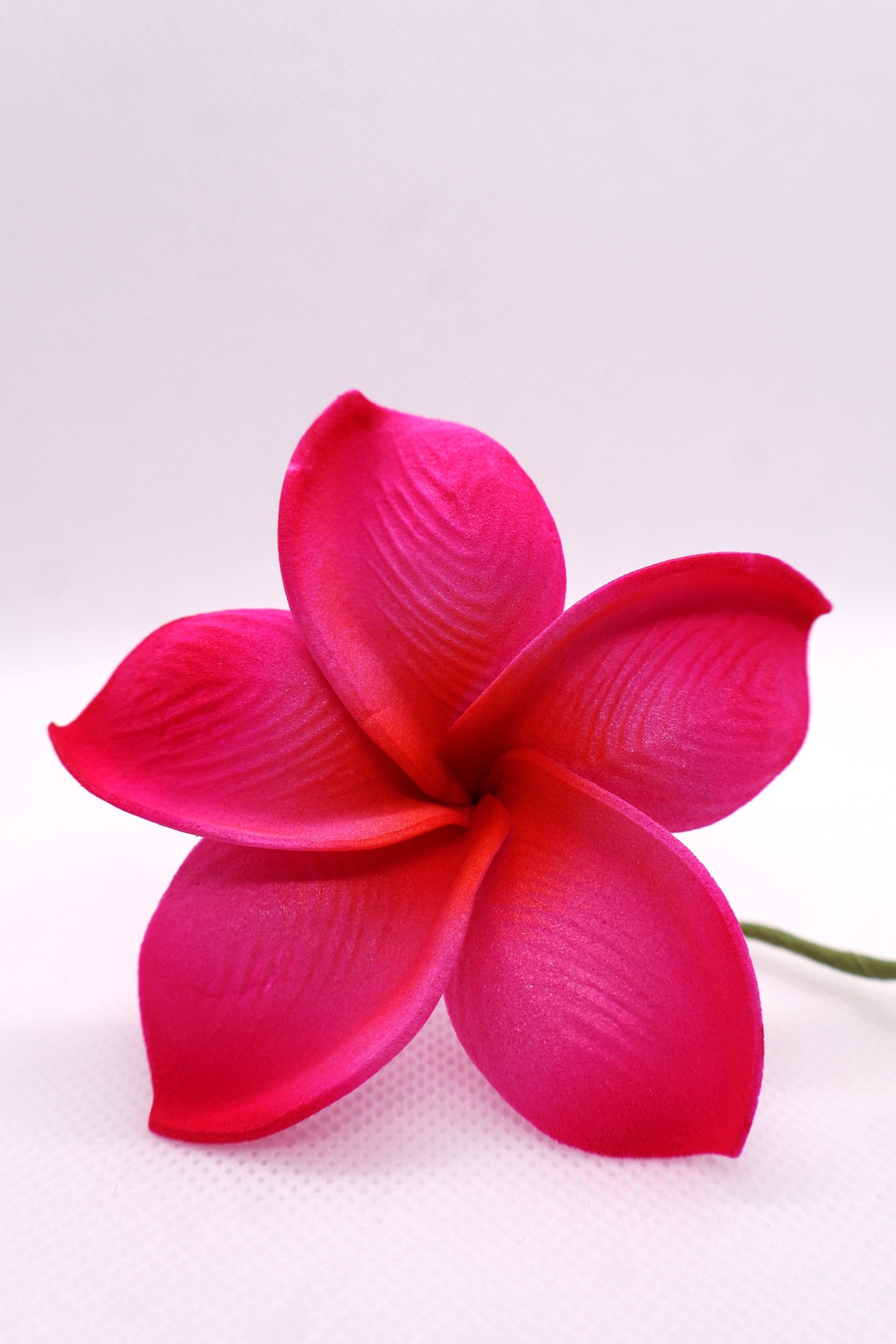 Tropical Medium Sei Collection