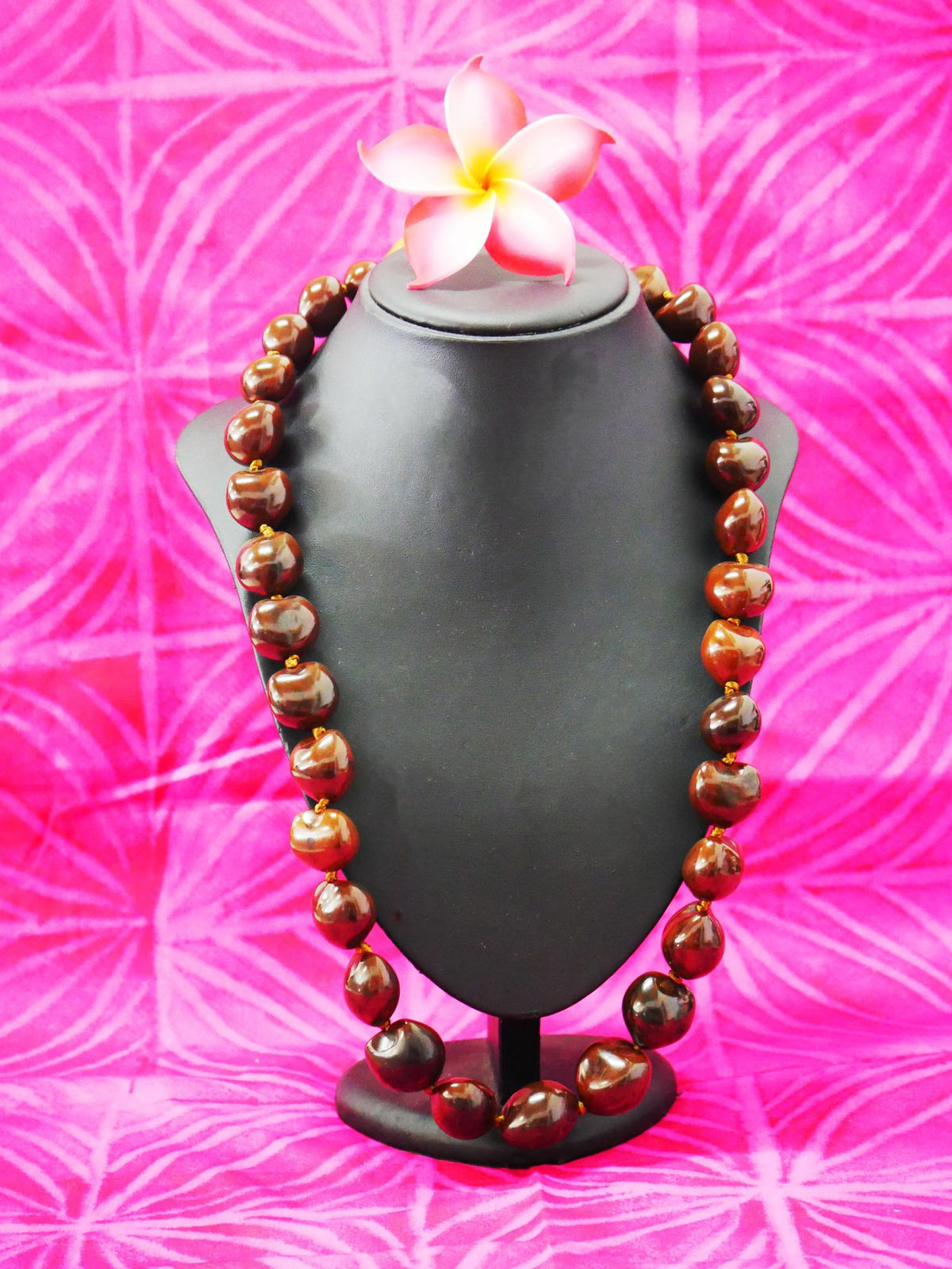 Ula Kukui Brown Shell ( Extra Long )